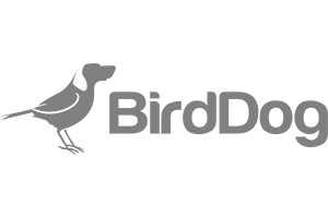 BirdDog